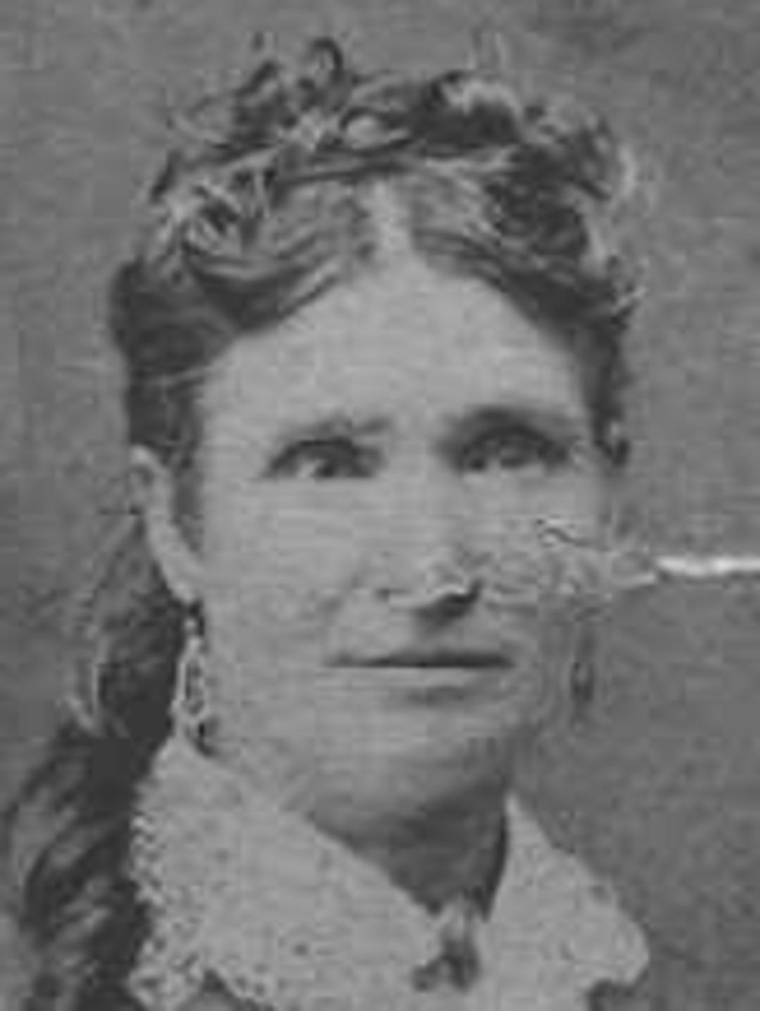 Sarah Ann Stevenson (1835 - 1901) Profile